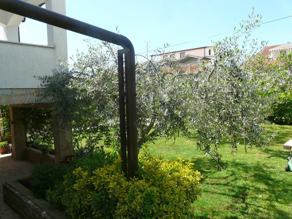 Apartments Mirela بوريتش المظهر الخارجي الصورة